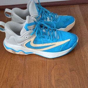 Nike Athletic Shoes in Blue and Tan